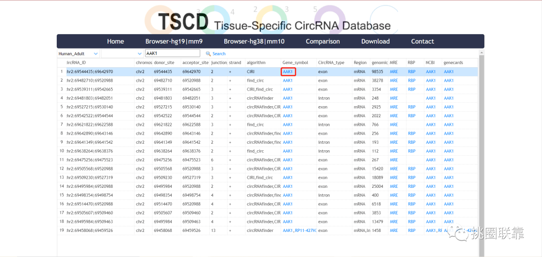 澳门一肖一码一必中一肖雷锋,详尽解答解释落实_管理版64.73.99