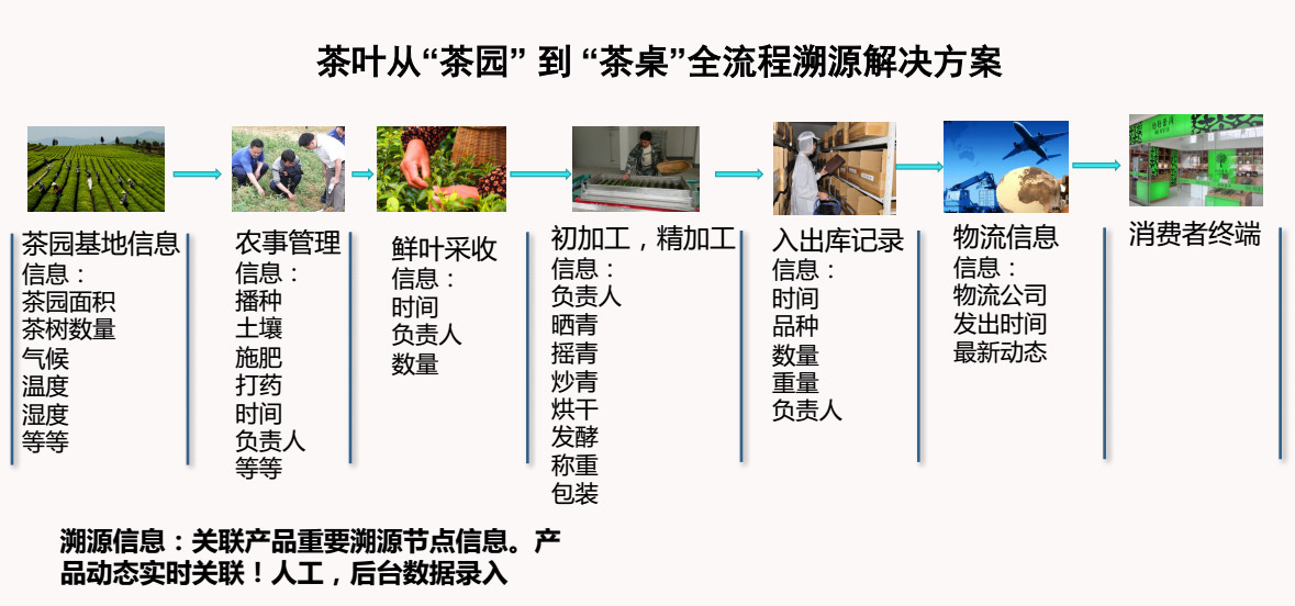 新澳门一码一肖一特一中准选今晚,创意解答解释落实_灵感版65.49.50